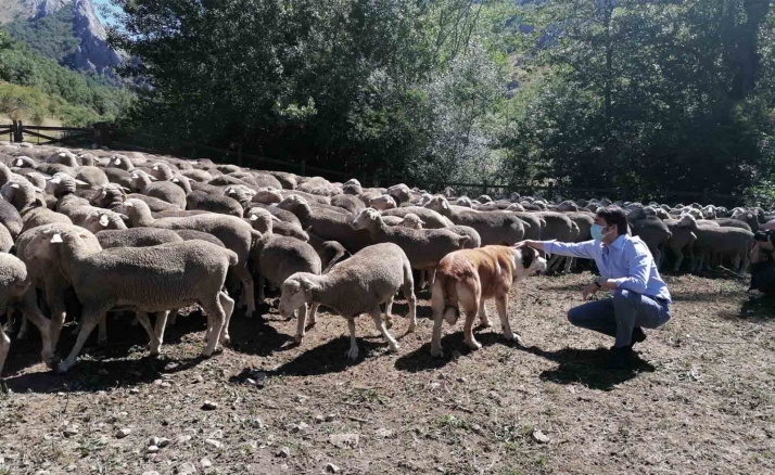 La Junta defenderá la posición las CCAA sobre la Estrategia de Suelo y el nuevo Reglamento para comercializar productos asociados a la degradación forestal