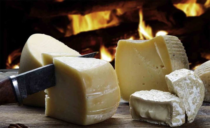 La innovación y la mejora de la calidad de la leche de oveja, factores fundamentales y dinamizadores del ovino de Castilla y León