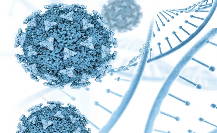 La EMA da vía libre a un fármaco contra el SARS-CoV-2