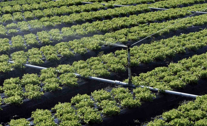 FOES formaliza sus alegaciones al PHN y pide a los políticos de Soria que defiendan una reserva de agua suficiente para la provincia