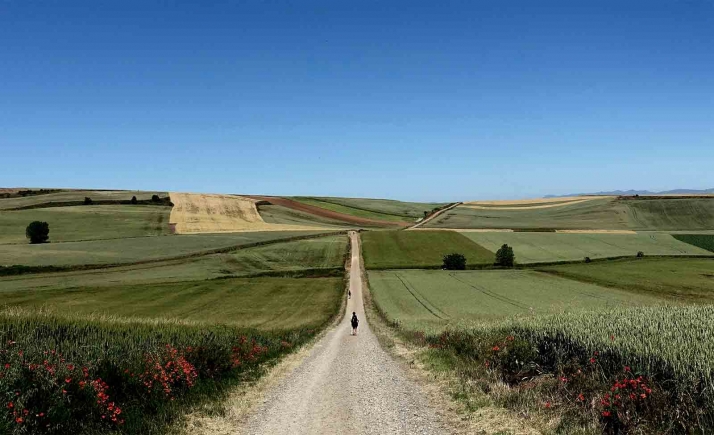 El Burgo invertirá 47.000 euros en la reparación de 10 kilómetros de caminos