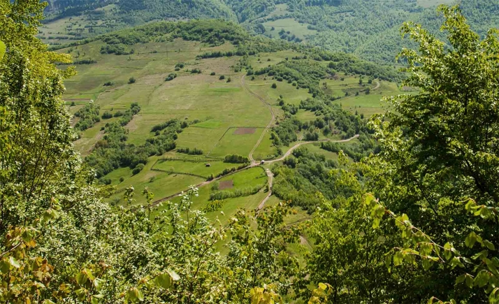 Salen ayudas regionales para la prevención de daños en terrenos forestales con vocación silvopastoral