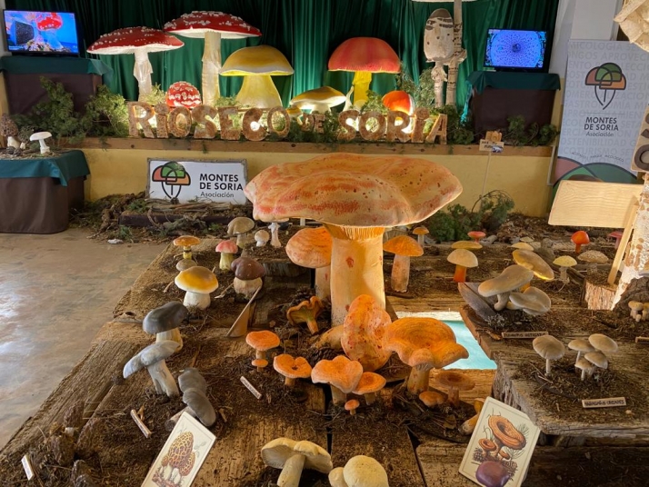 Montes de Soria califica de éxito total la iniciativa micológica itinerante de este 2021