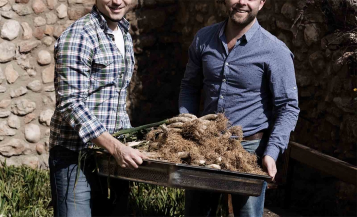 La Junta convoca un programa para la inserción laboral y la trasformación verde en la provincia