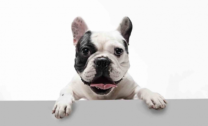 La firma madrileña Doxel se suma al Vivero de Empresas de Soria