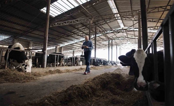 La izquierda arremete contra Mañueco tras las declaraciones del ministro de Consumo