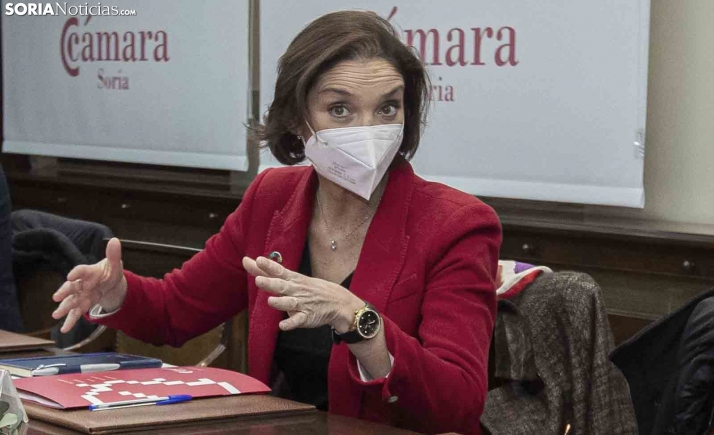 Afirman que Reyes Maroto se opuso a financiar los proyectos rurales sorianos con fondos europeos