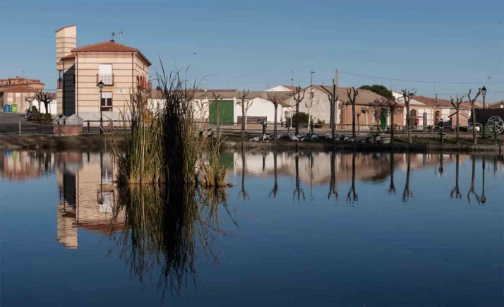 Detectado el virus de influenza aviar en cinco aves silvestres en Ávila