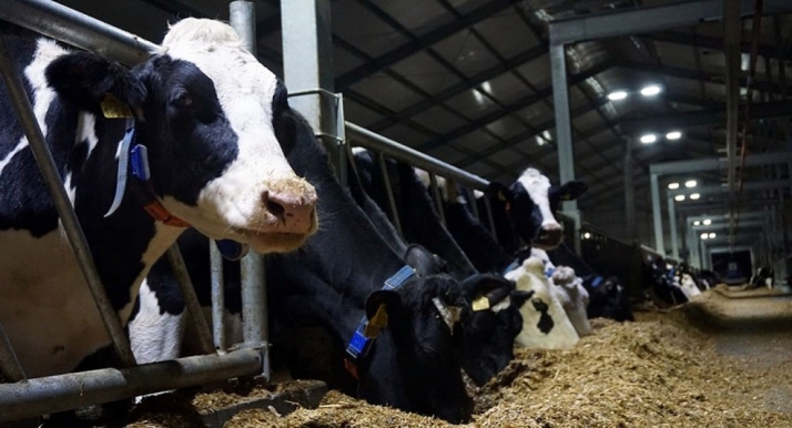 La Asociación Hacendera apoya a Garzón contra proyectos similares al que se proyecta en Noviercas