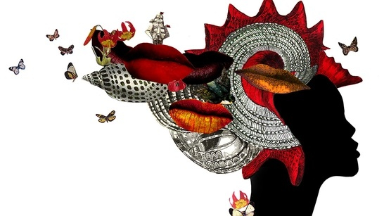 Soria acogerá en marzo el V MujerDOC, Festival de Cine Documental sobre Género