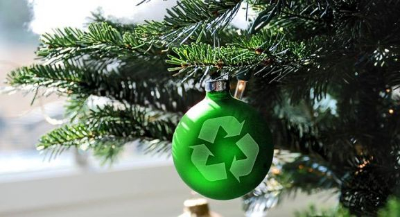 Los sorianos ya pueden reciclar los abetos naturales que han servido de adorno en Navidad