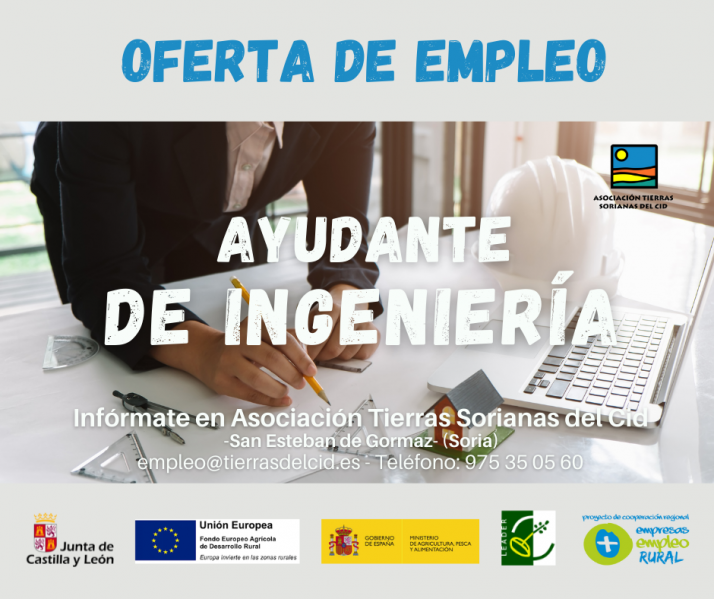 Ayudante de Ingeniería