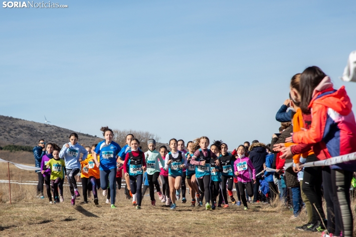 GALERÍA: Fiesta del atletismo en Ólvega
