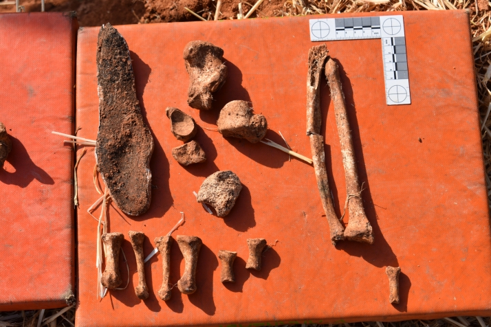 Recuerdo y Dignidad devolverá a la familia los restos del cuarto represaliado en La Riba 