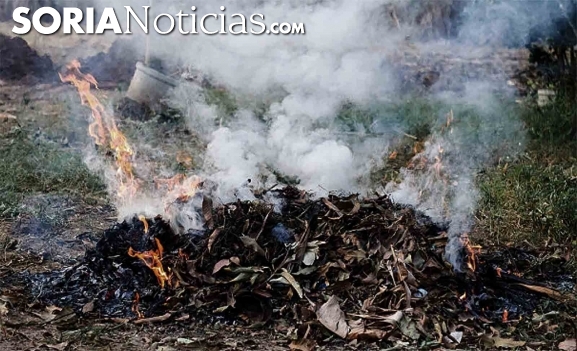 Declarado el peligro medio de incendios forestales en toda la Comunidad hasta el 10 de febrero