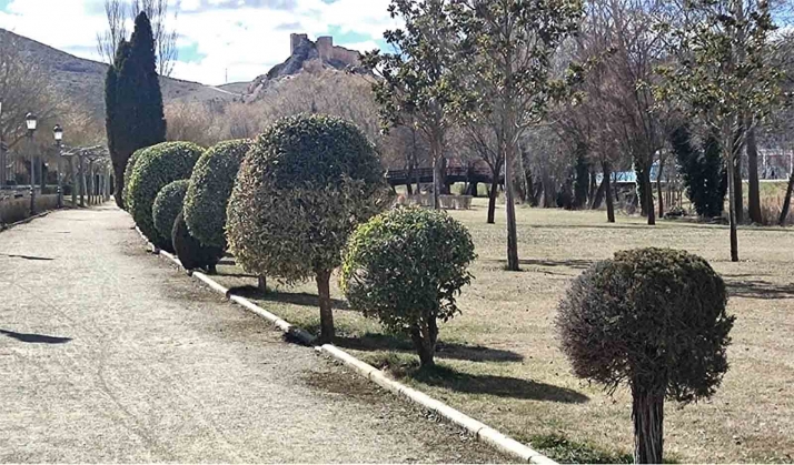 El Plan de empleo burgense supondrá la contratación de 15 personas