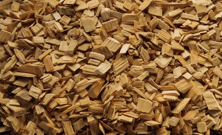 Modificación del proyecto de la planta bioeléctrica de Garray