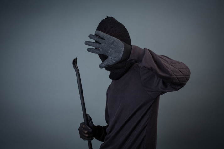 Castilla y León registra un importante descenso de la criminalidad, situándose diez puntos por debajo de la media española