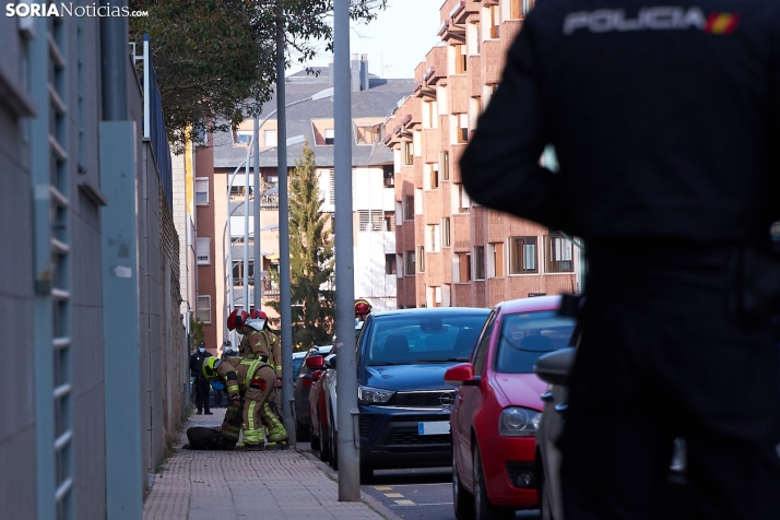 Un buitre obliga a cerrar Francisco de Ágreda