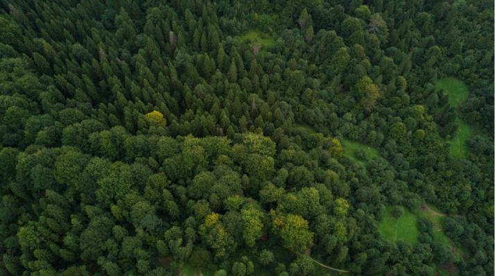 Castilla y León ha desarrollado 835 actuaciones de educación ambiental tras una inversión de 8 millones