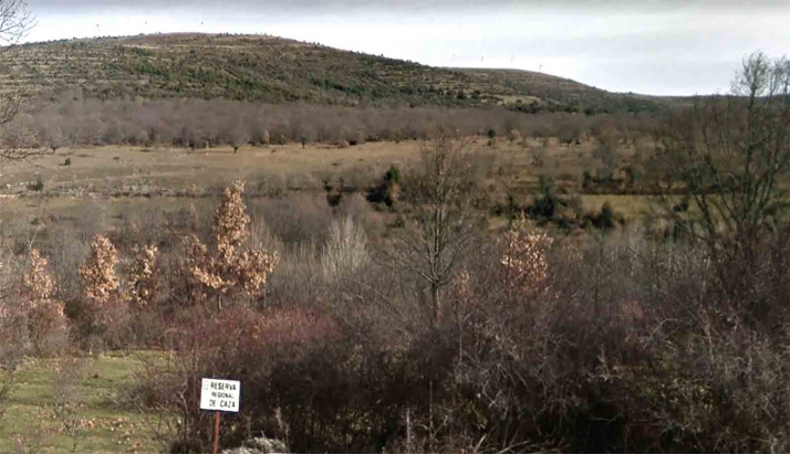 Adjudicadas las obras de mejora de la pista forestal ‘Las Matillas’, en La Póveda