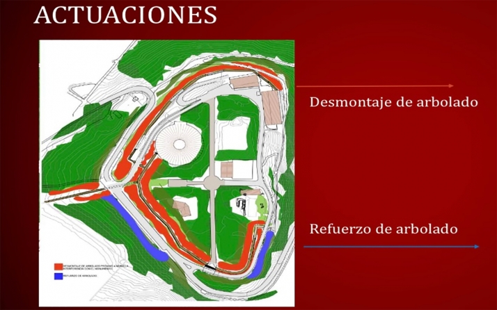 TRIBUNA: ¿Cortar árboles en el Castillo? ¿Sí? ¿No? ¿Para hacer qué?