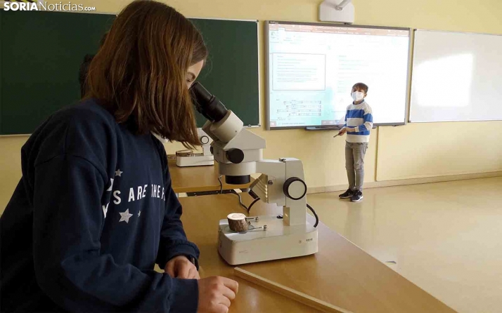 Soria, la segunda provincia de Castilla y León que tiene mayor número de alumnos con altas capacidades