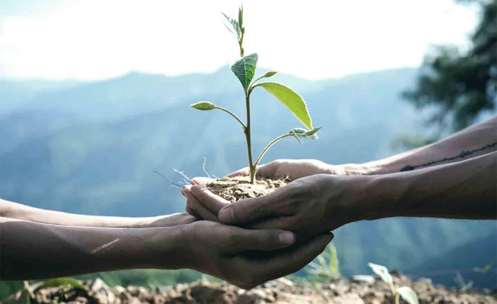 Valdelagua apadrinará árboles el 16 de abril