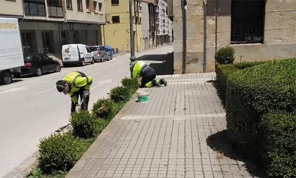 La reforma laboral pone en riesgo los planes de empleo en las distintas provincias de Castilla y León