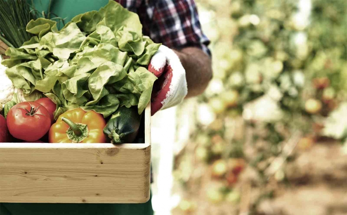 La alianza Organizaciones Saludables celebra este jueves una jornada formativa