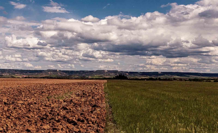 Castilla y León efectúa el pago de la liquidación de las ayudas por superficie PAC 2021 a 3.824 agricultores y ganaderos sorianos