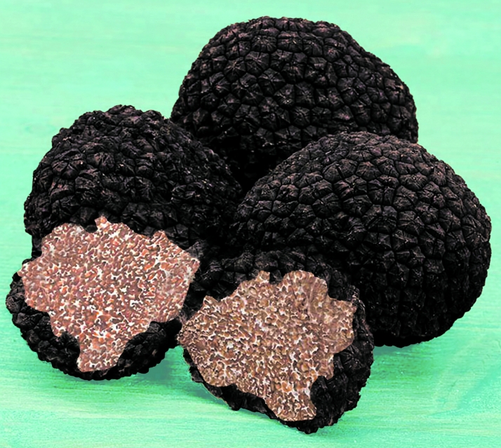 Soria renace en invierno