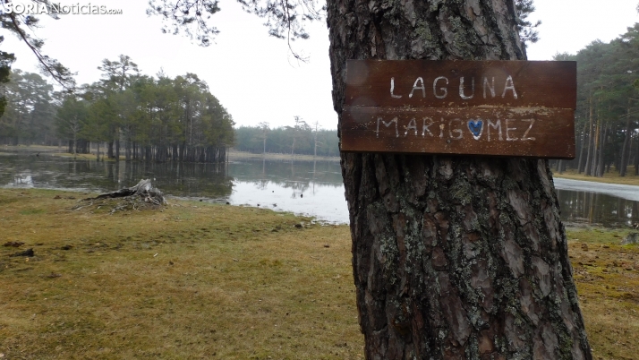 Galería: La serena Ruta  de las Cascadas II en Duruelo