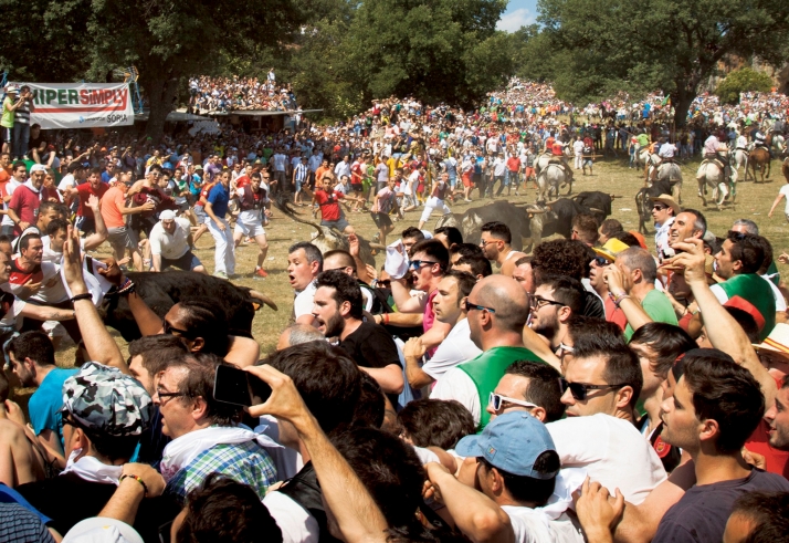 La línea roja para San Juan: Más cerca que nunca de una Saca sin 12 novillos