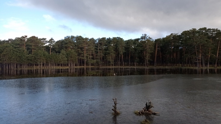 Abril trae fríos registros en Pinares