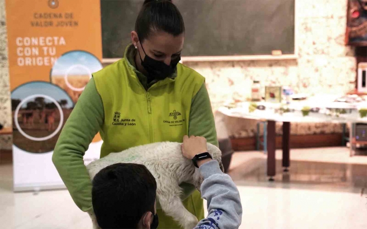 La Junta promueve el programa ‘Cadena de valor joven’, para ESO y Bachillerato de Castilla y León