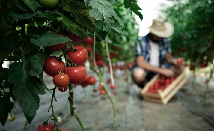 Salen las ayudas regionales para mejorar la formación de los sectores agrario, forestal y agroalimentario
