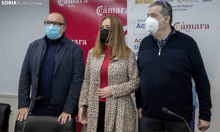 Las empresas sorianas, las más interesadas en digitalizarse