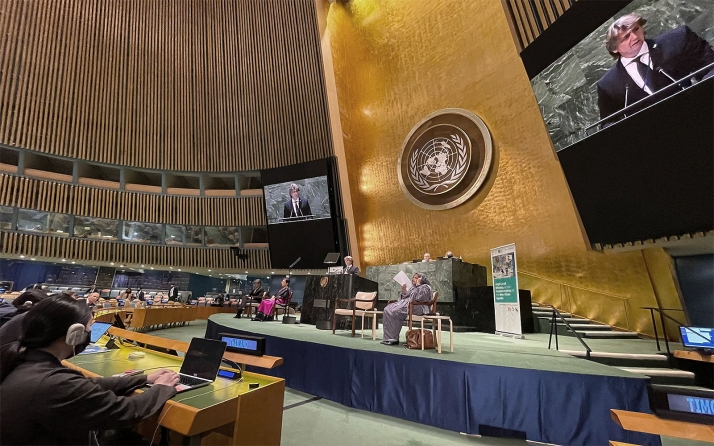 Mínguez defiende, ante la ONU, la identidad de los pequeños y medianos municipios