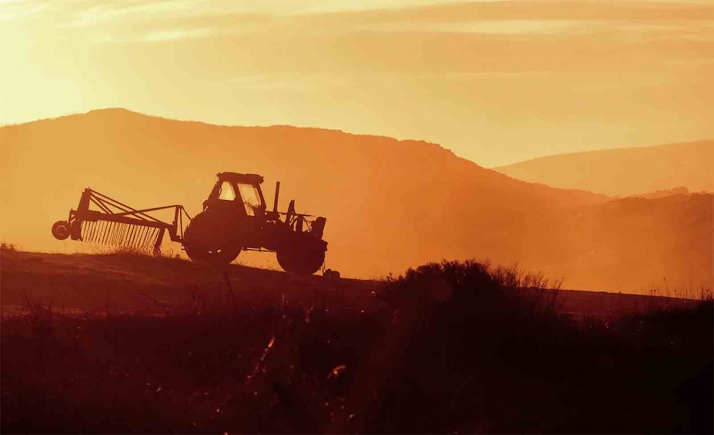 Salen las ayudas del ‘Plan de impulso de la sostenibilidad y competitividad de la agricultura y la ganadería’ en Castilla y León