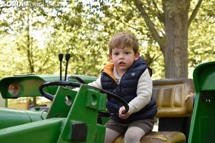 Almazán busca jóvenes que sirvan como informadores en sus ferias de mayo