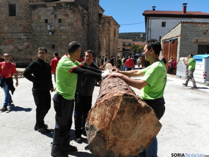 Cabrejas del Pinar pingará su pino mayo el último día de abril