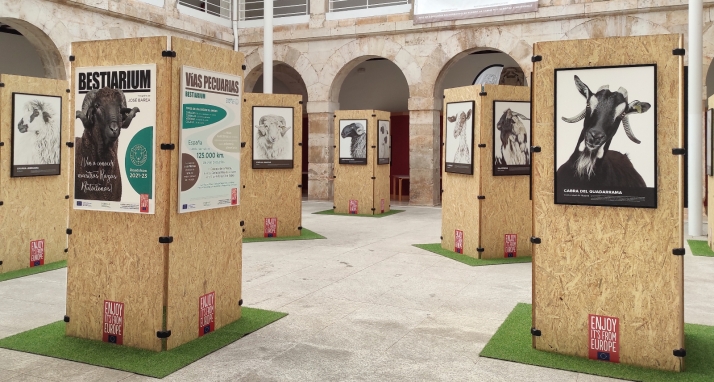 El Burgo revive su lado más trashumante