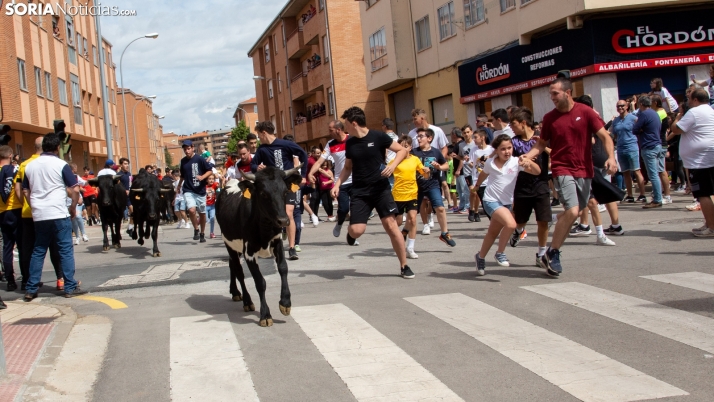 En imágenes: Los más pequeños sienten la adrenalina en su Encierro particular