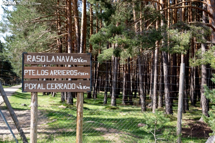 Covaleda Fest ultima preparativos y promete más de 10.000 visitantes diarios entre el 4 y el 7 de agosto