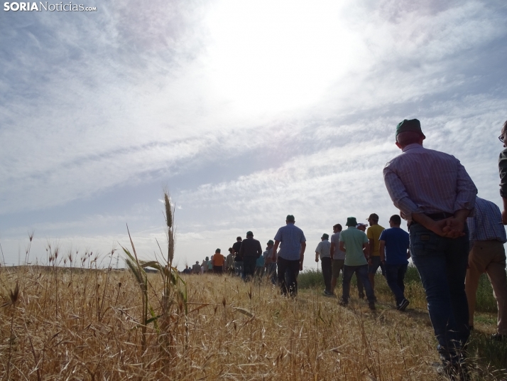Los campos de ensayo de Asaja, abiertos a visitantes