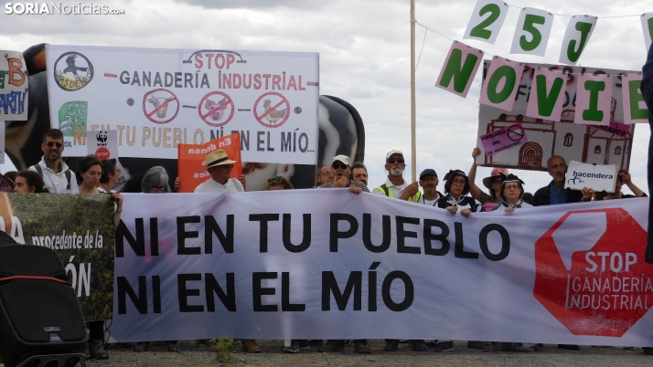 En imágenes: Medio millar de personas se  concentran en Noviercas para protestar contra la macrogranja