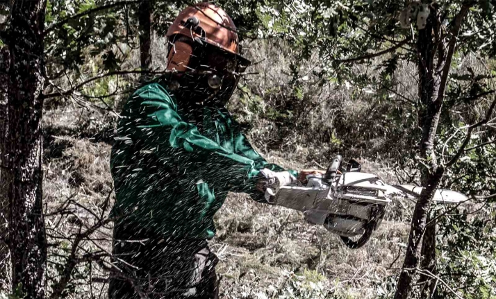 La provincia de Soria recibirá 330.000 € de la Junta para la creación de empleo mediante de trabajos forestales