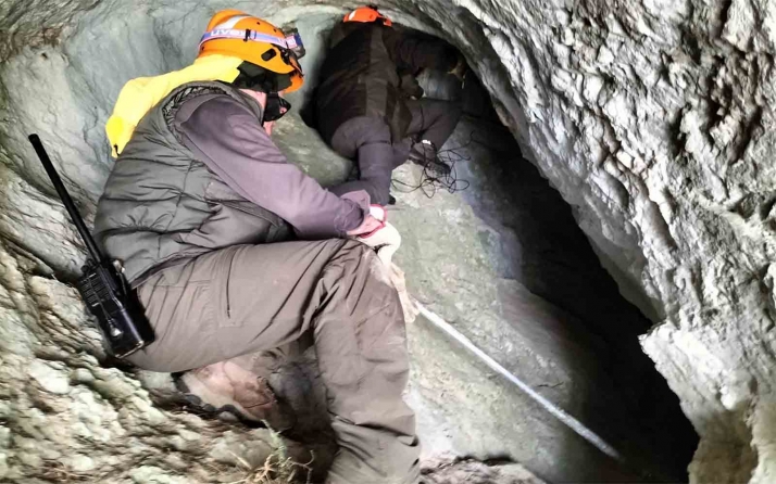 La osa adulta despeñada por el ataque de un oso en la Montaña Palentina sigue con vida