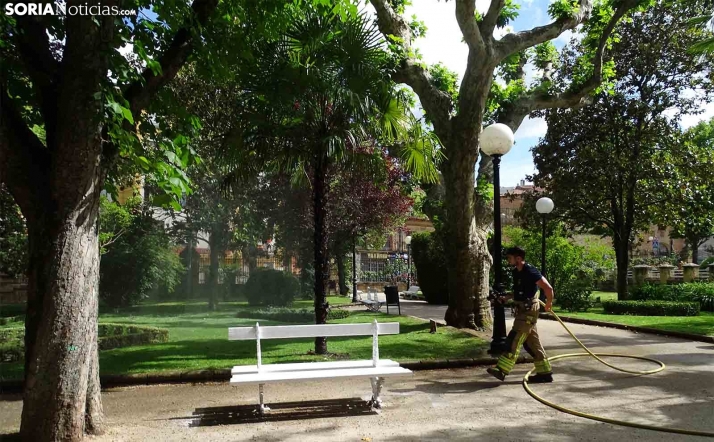 Arde una palmera en la Dehesa